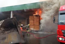 Incêndio atinge estrutura de empresa em Santa Cecília