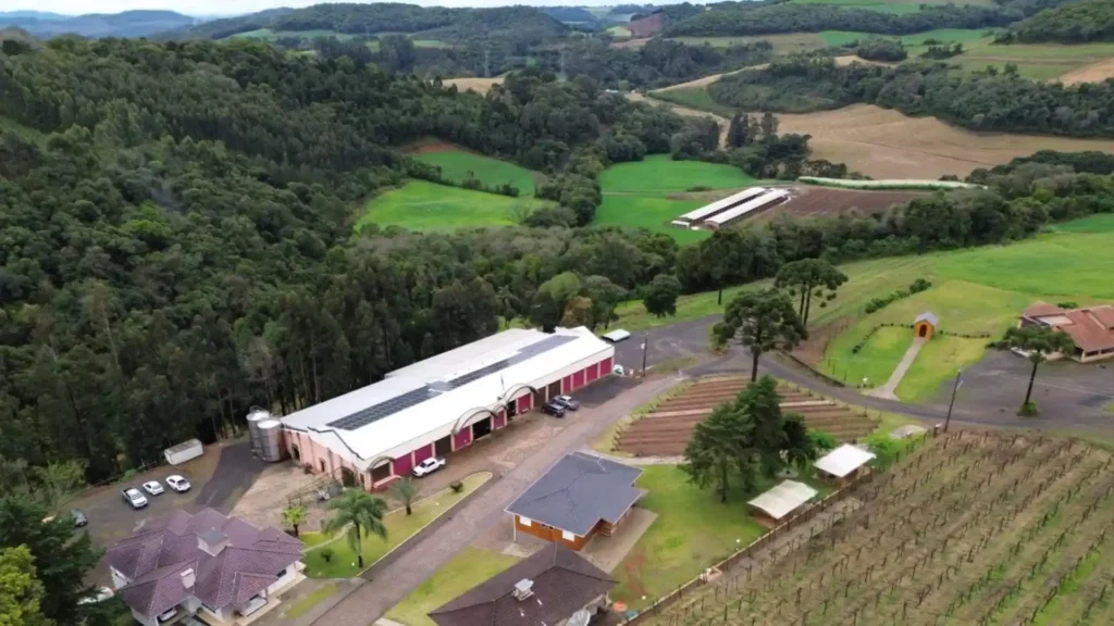 Justiça nega pedido de vinícola contra instalação de chiqueirão