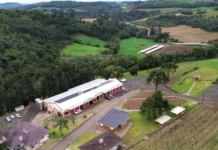 Justiça nega pedido de vinícola contra instalação de chiqueirão