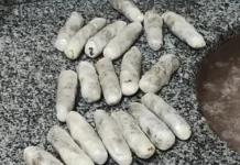 Professor é flagrado entregando drogas a detentos durante aula em penitenciária