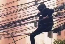 Ladrão é flagrado furtando fios de alta tensão; veja o vídeo