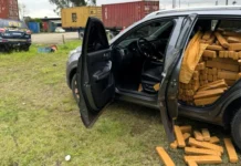 Mais de 1 tonelada de maconha é apreendida em carro clonado em SC