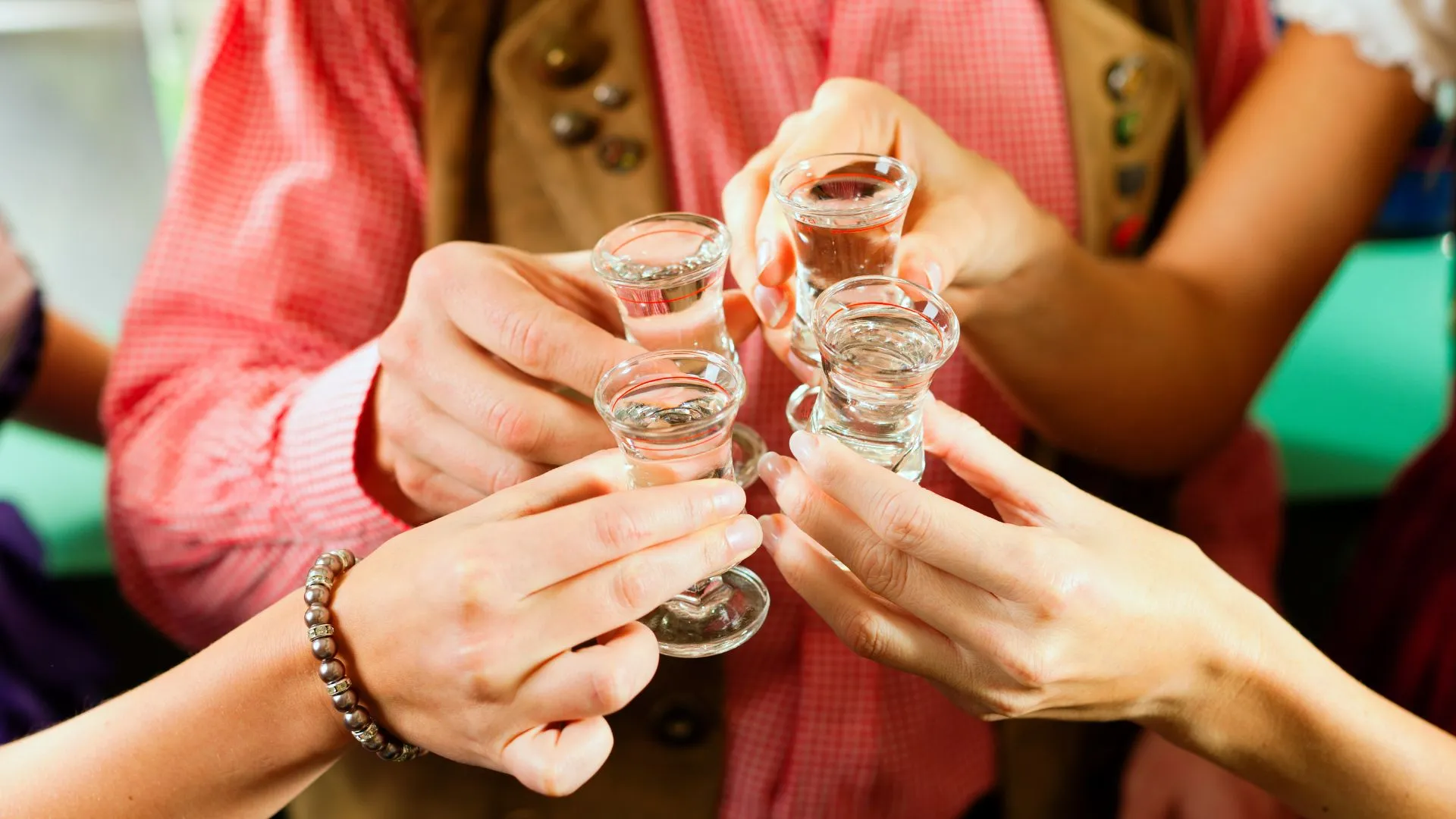 Alesc aprova criação do Dia Estadual da Cachaça em Santa Catarina