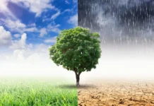 Fenômeno La Niña retorna e deve afetar clima até fevereiro de 2026