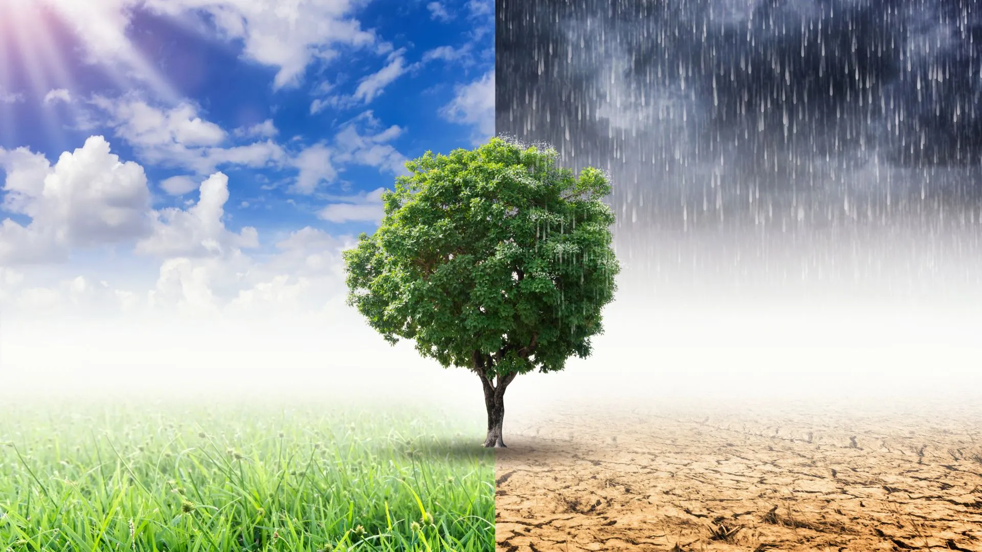 Fenômeno La Niña retorna e deve afetar clima até fevereiro de 2026