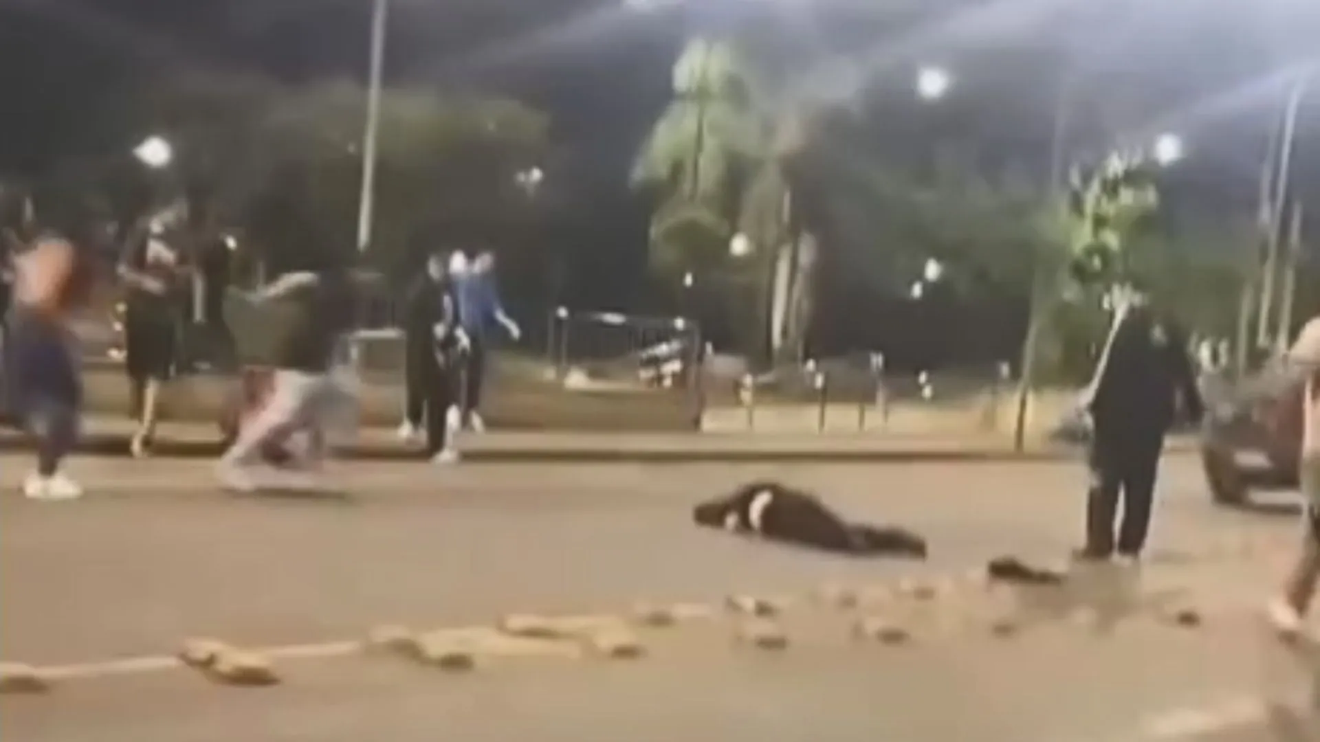 Polícia atualiza caso do jovem espancado em Videira