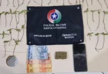 Plantação de maconha leva homem à prisão em Fraiburgo