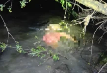 Corpo é encontrado boiando no Rio do Peixe em Videira