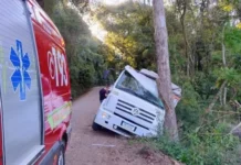 Caminhão que transportava trator bate em árvore e deixa pai e filho feridos