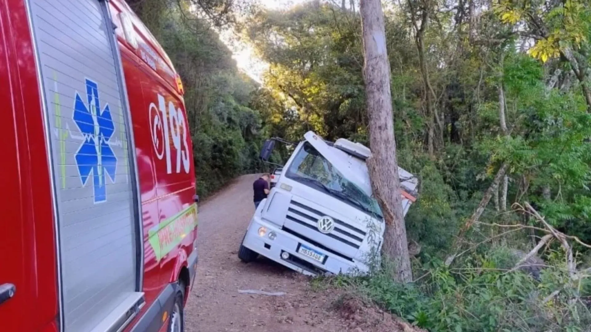 Caminhão que transportava trator bate em árvore e deixa pai e filho feridos