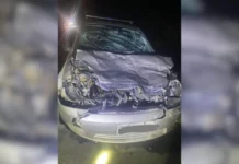 Carro fica destruído após atropelar boi na BR-282