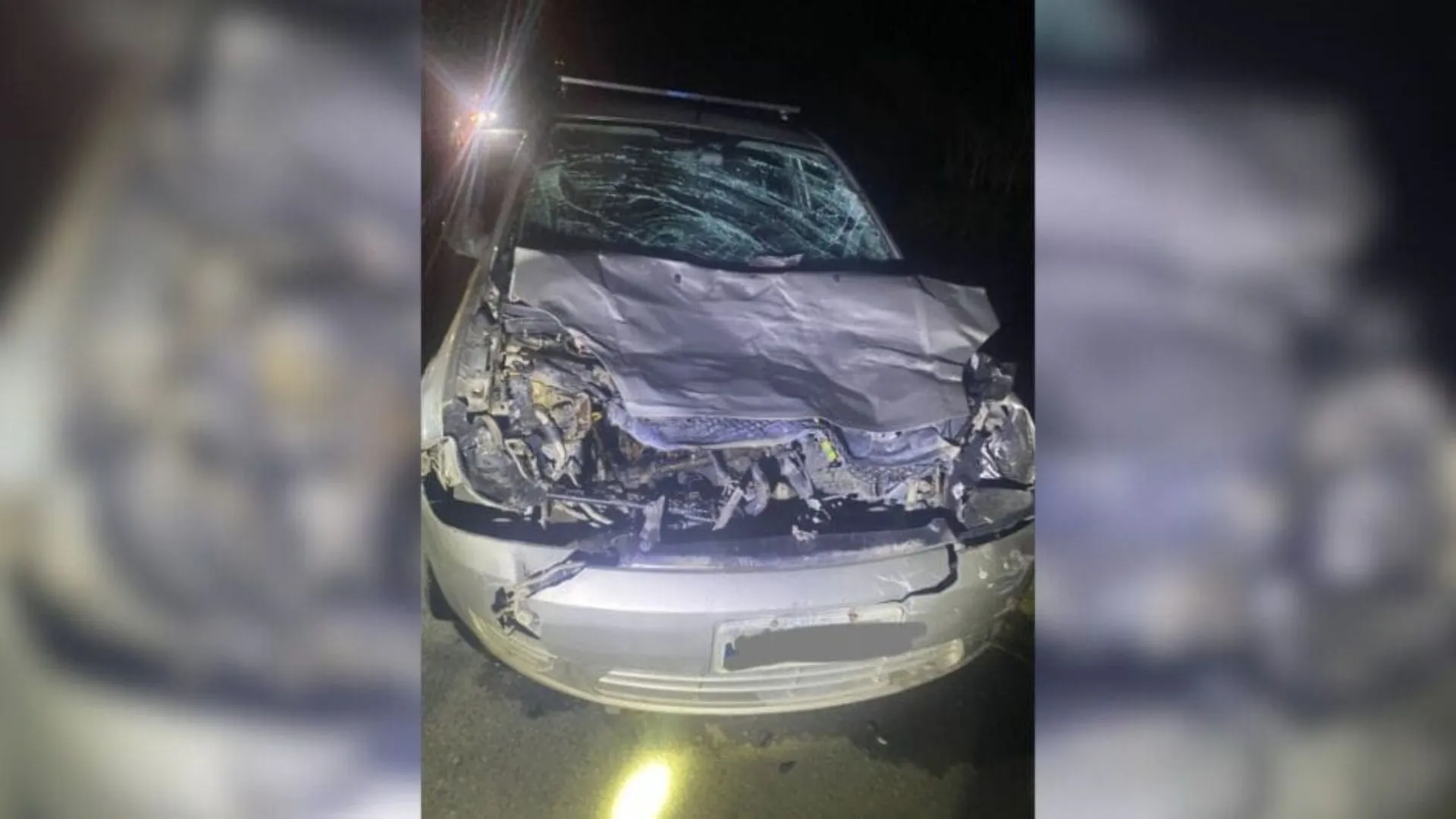 Carro fica destruído após atropelar boi na BR-282