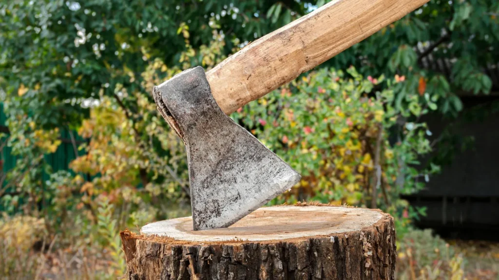 Homem é morto a golpes de machado após briga por dívida de aluguel em Canoinhas