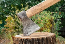 Homem é morto a golpes de machado após briga por dívida de aluguel em Canoinhas