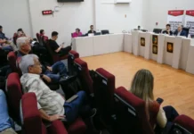 Incentivos fiscais para o Contestado são debatidos em audiência pública em Videira