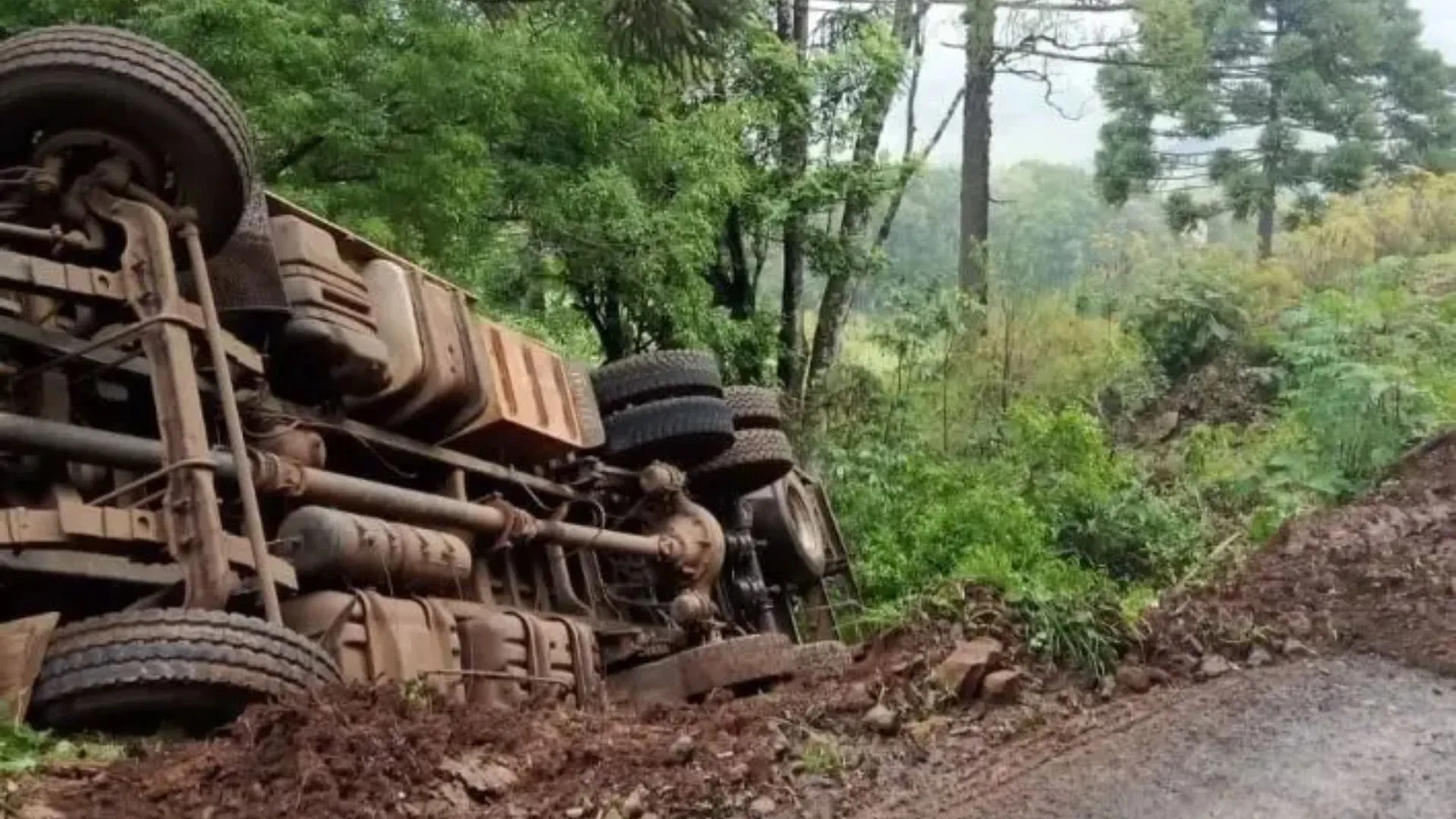 Caminhão com placa de Videira, carregado de suínos, tomba em estrada rural do Meio-Oeste