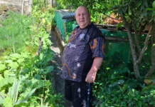 Morador cultiva mais de 100 plantas no quintal de casa