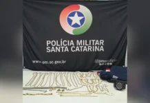 Ladrão de roupas e bijuterias é preso em Joaçaba