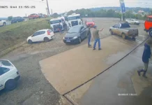 Motorista esquece de puxar freio de mão e carro cruza rodovia