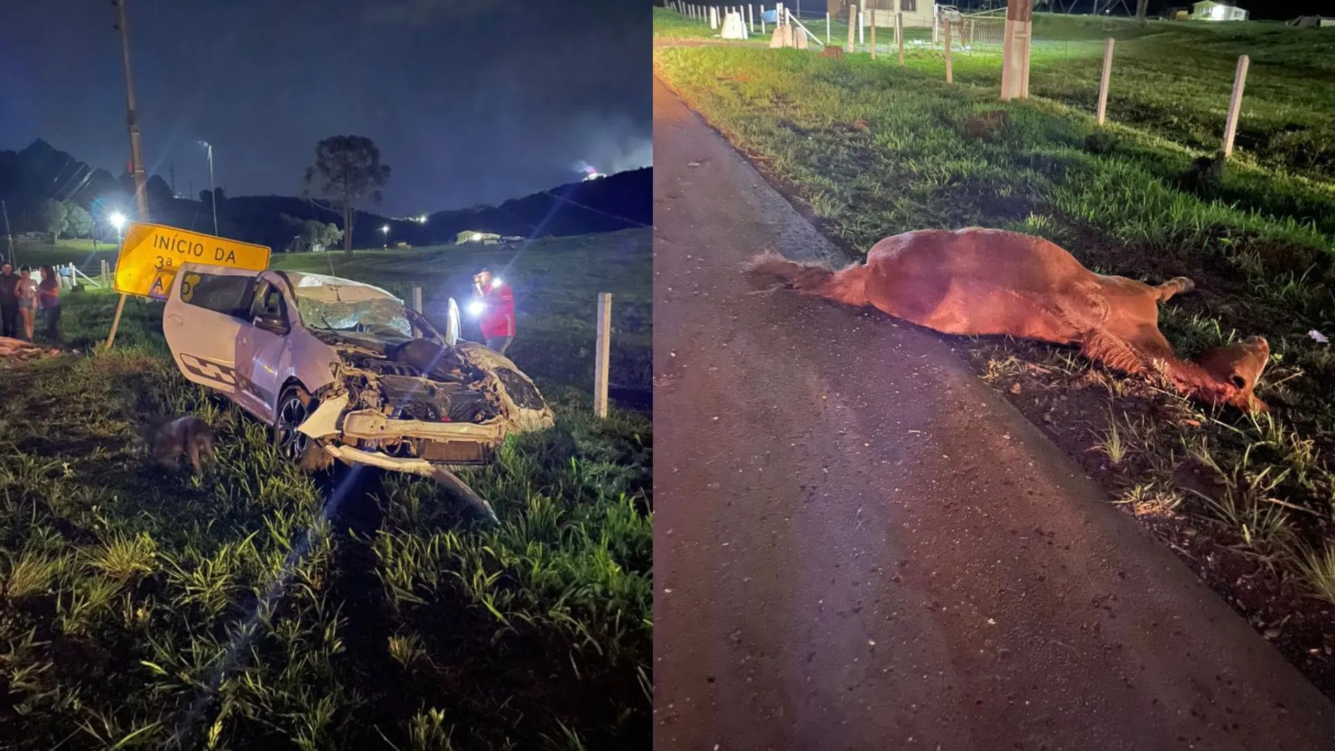Cavalo morre e motorista fica ferido em atropelamento na SC-350