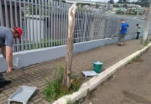 Prefeitura de Caçador orienta limpeza dos túmulos para Finados