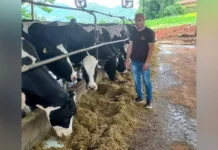 Crise do Leite: produtores enfrentam alta nos custos e queda no preço por litro