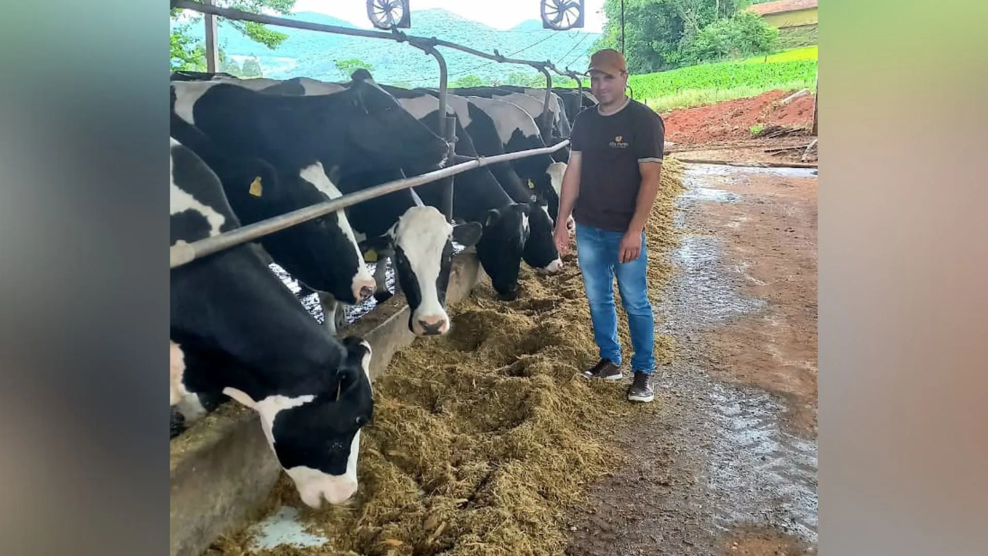 Produtores enfrentam alta nos custos e queda no preço por litro