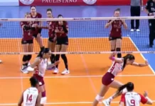 Gambá invade quadra durante jogo do Campeonato Paulista de Vôlei