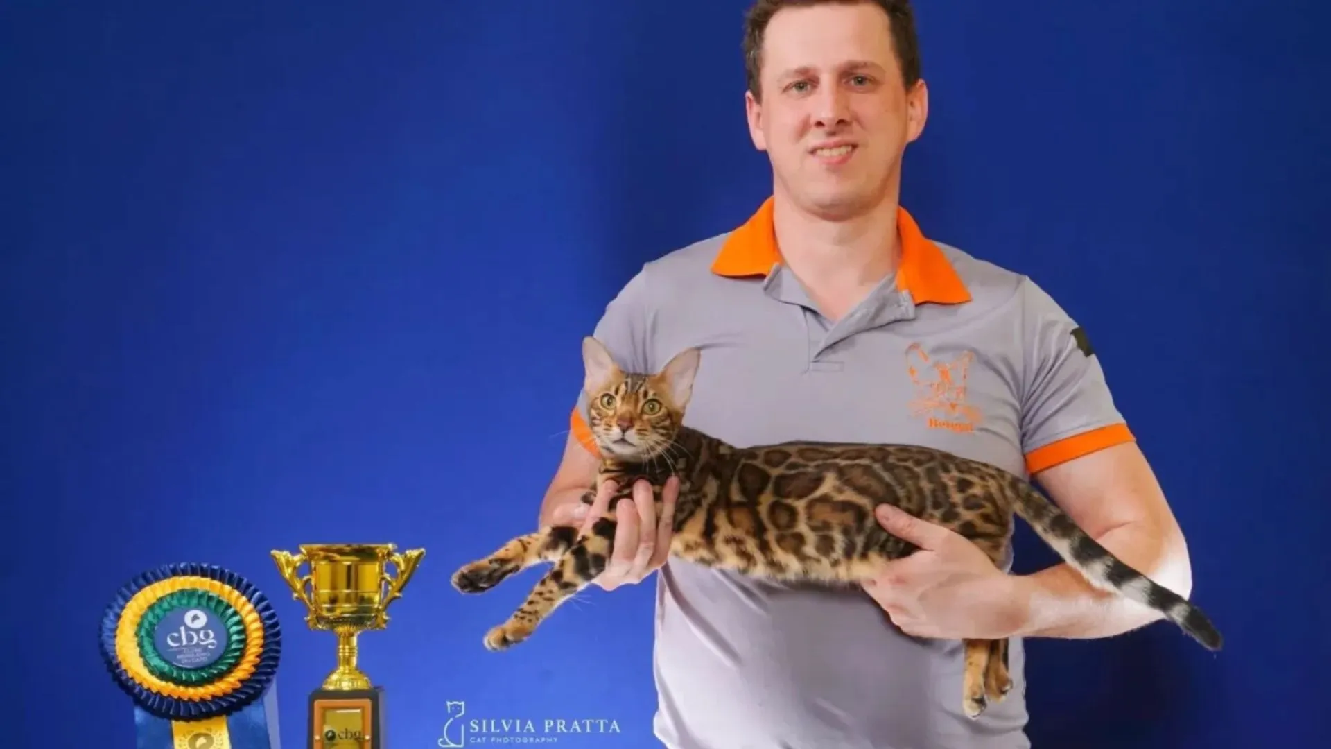 Criador caçadorense disputa campeonato mundial de beleza felina