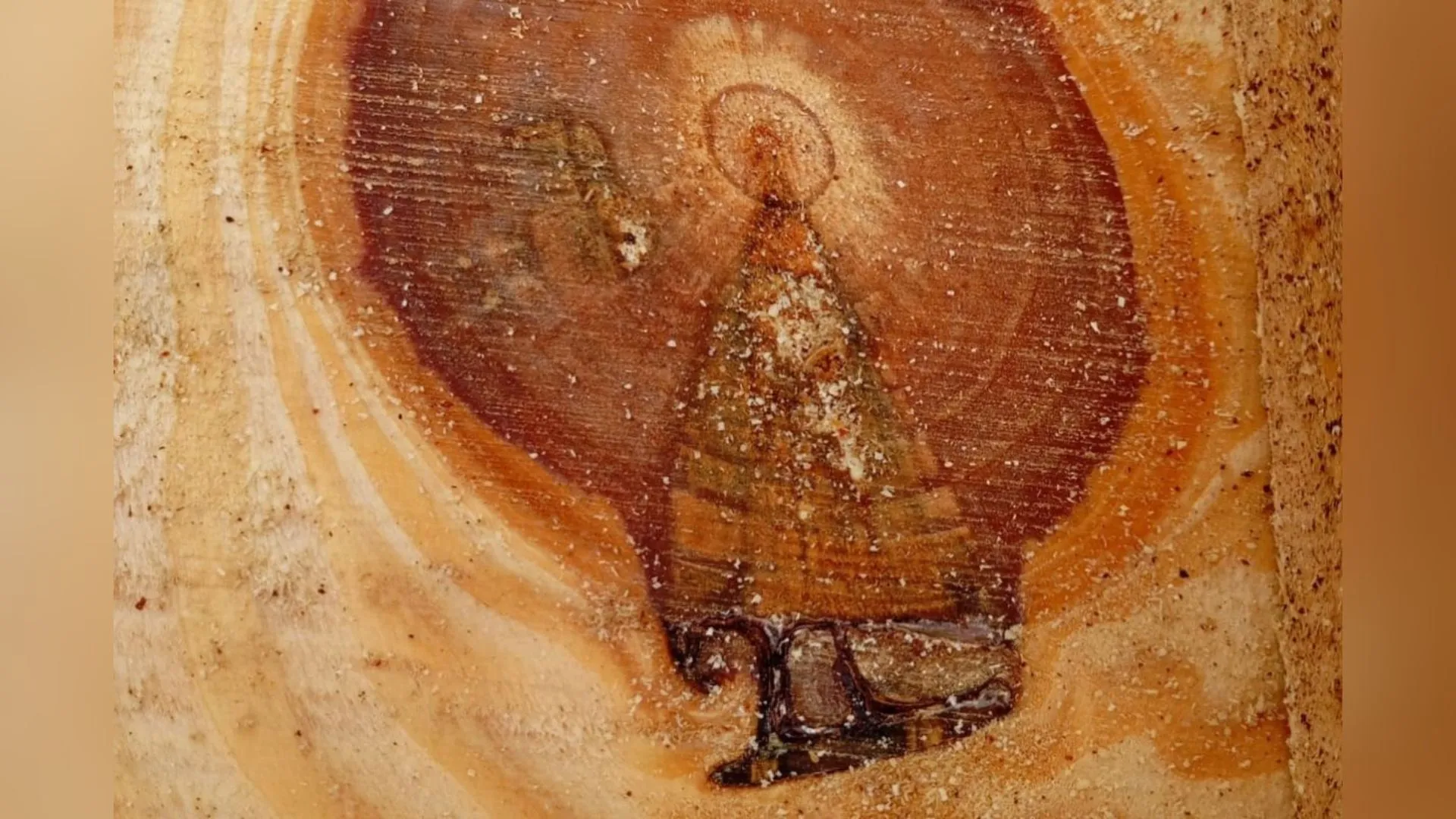 Imagem de Nossa Senhora surge em tronco e emociona família