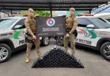 Polícia Militar apreende 89 kg de maconha em Caçador