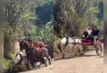 Cinco participantes de cavalgada são indiciados por maus-tratos