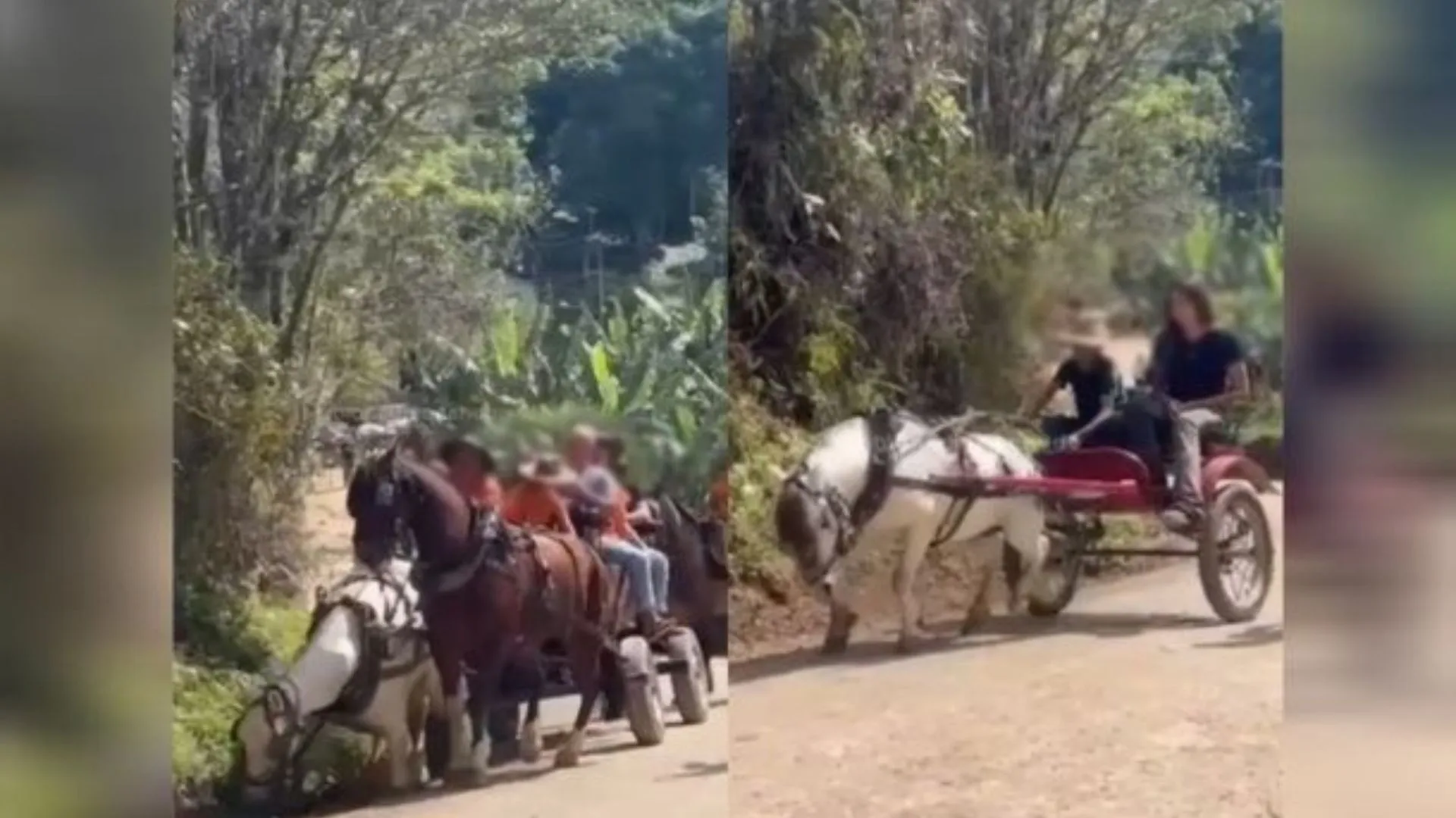Cinco participantes de cavalgada são indiciados por maus-tratos