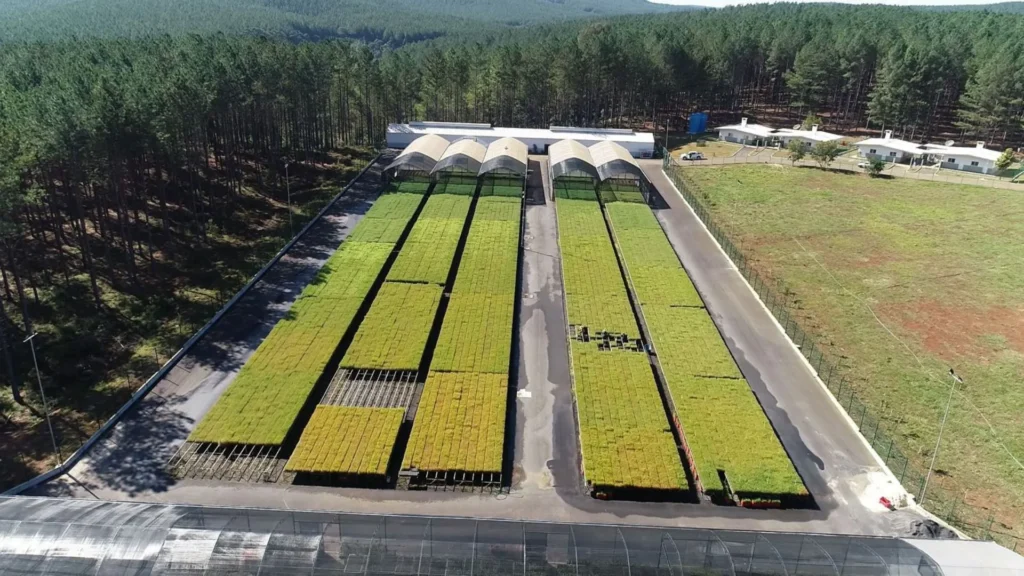 Caçador lança roteiro piloto de Turismo Industrial e Científico