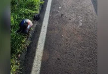 Homem é baleado nas costas em tentativa de homicídio