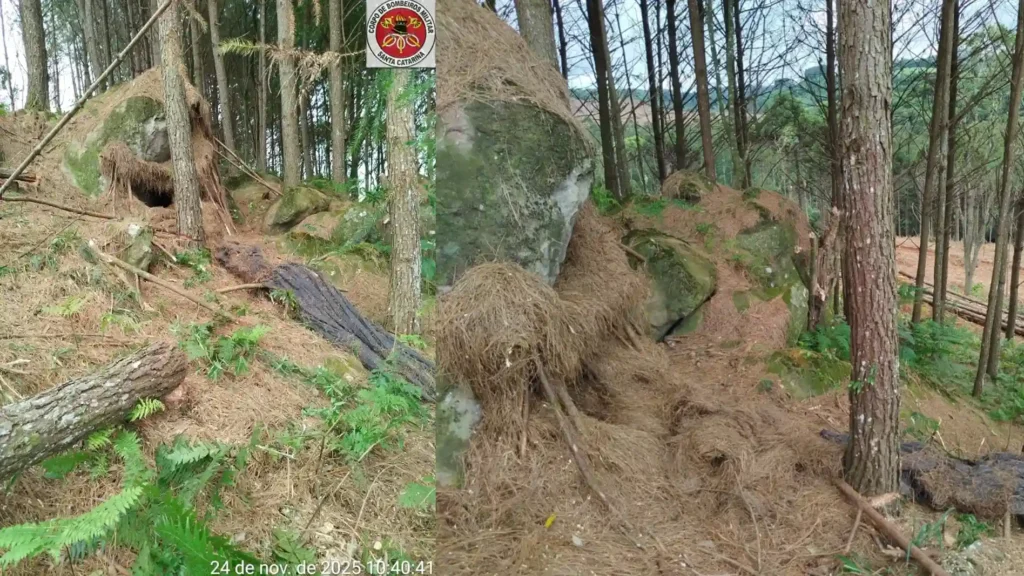 Corpo encontrado em mata estava em possível abrigo improvisado