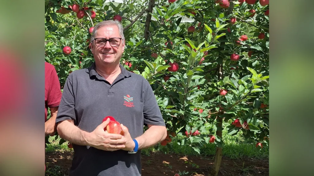 Epagri lança livro sobre cultivares de maçã no Brasil