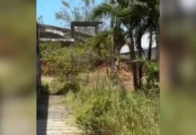 Pai é preso após confessar morte do filho autista de 11 anos