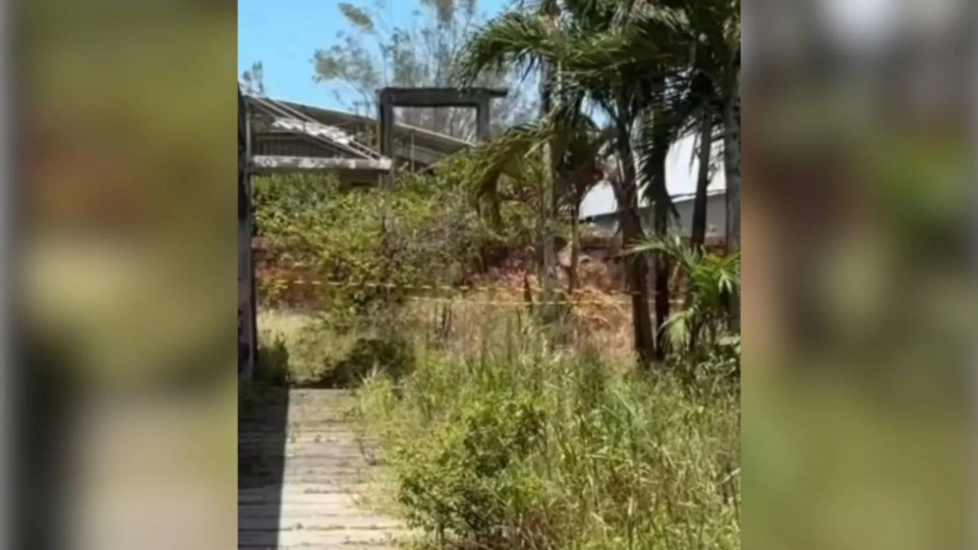 Pai é preso após confessar morte do filho autista de 11 anos