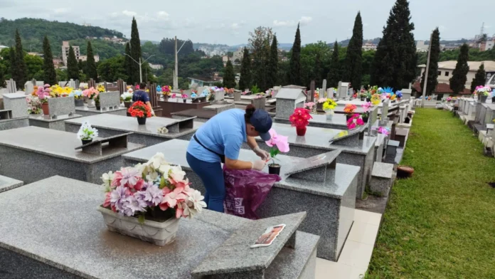 Mutirão no Cemitério Jardim da Saudade reforça ações contra a dengue em Videira