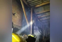 Fogo em madeireira assusta moradores e mobiliza bombeiros