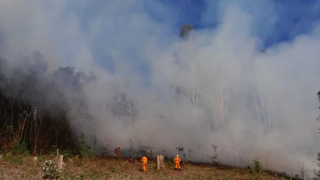 Incêndio em mata mobiliza bombeiros no interior de Macieira