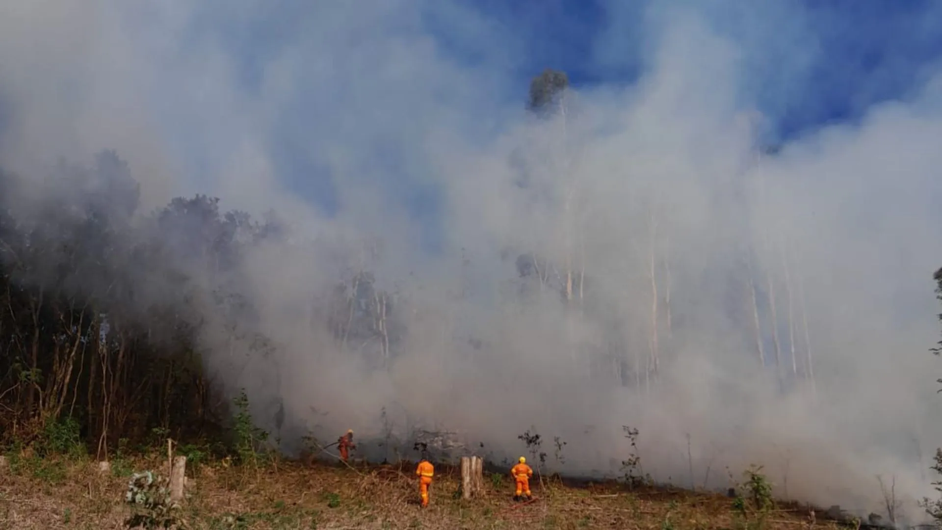 Incêndio em mata mobiliza bombeiros no interior de Macieira