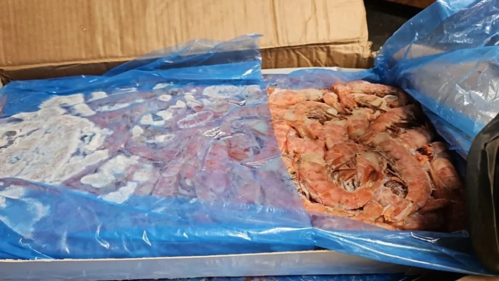 Carga ilegal de camarão é apreendida e três homens são presos no Oeste