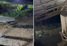 Vendaval causa estragos em área agrícola no interior de Videira