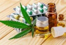Caçador recebe seminário sobre uso medicinal da cannabis nesta sexta-feira