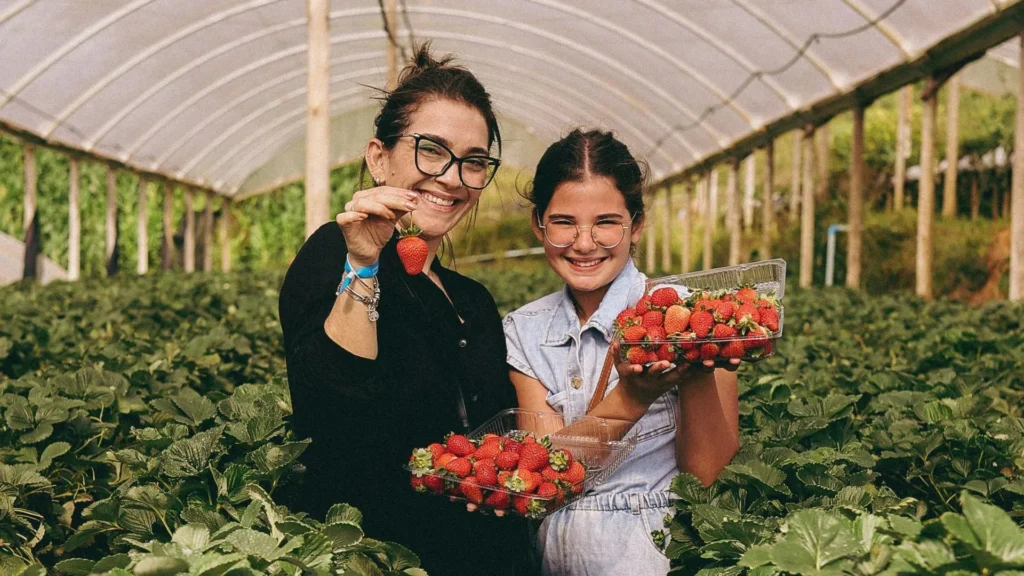 5ª Festa do Morango anima Tangará neste sábado com cultura e gastronomia