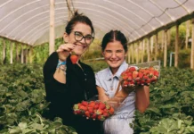 5ª Festa do Morango anima Tangará neste sábado com cultura e gastronomia