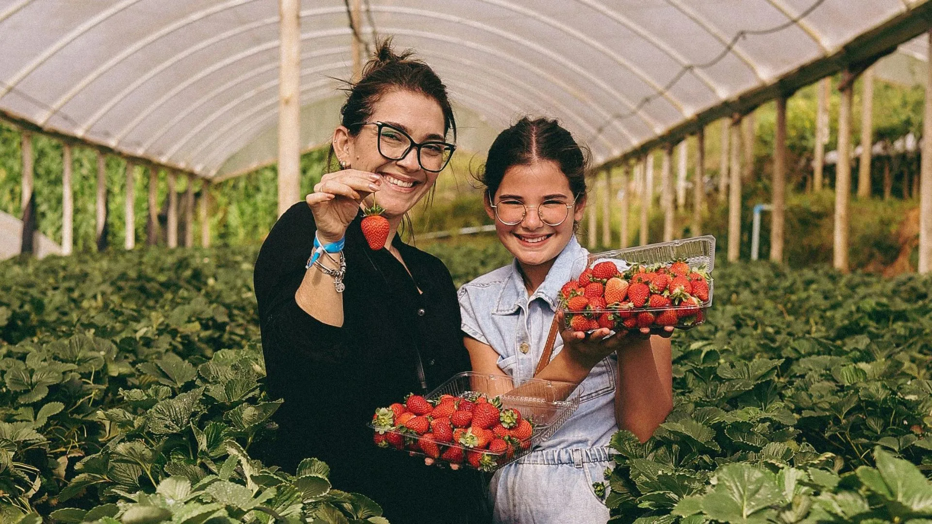 5ª Festa do Morango anima Tangará neste sábado com cultura e gastronomia