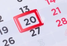 Feriado chegando: você sabe o que se celebra no dia 20 de novembro?